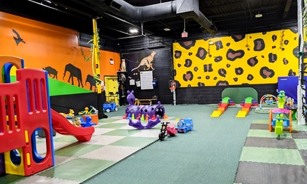 1 Daily Visit Open Play - Vinkari Safari: Children's Indoor Playground