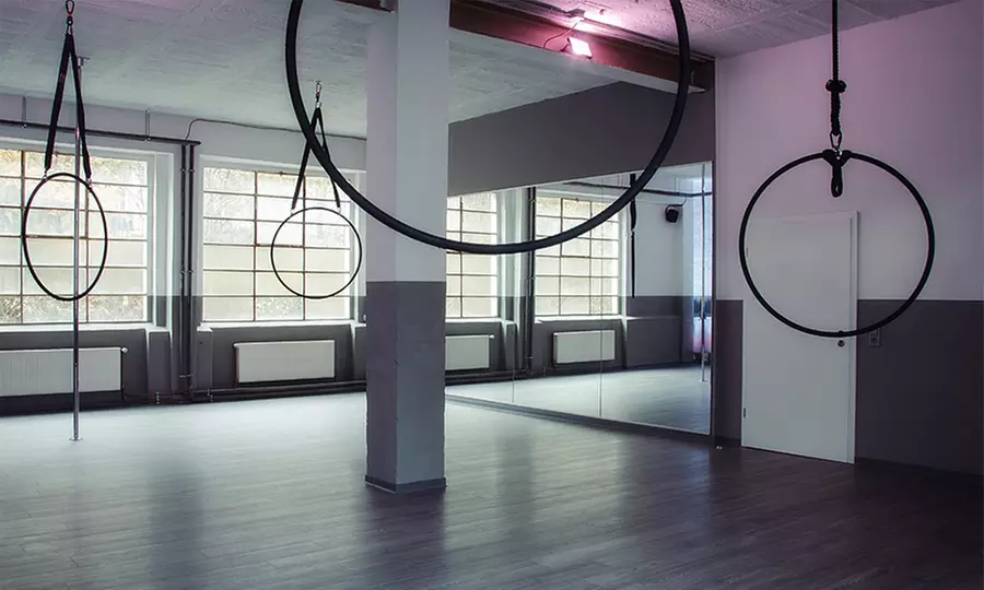 60 Min. Poledance-Schnupperkurs für 1 oder 2 Personen in der Pole Garage(bis zu 55% sparen*) - Second Medium