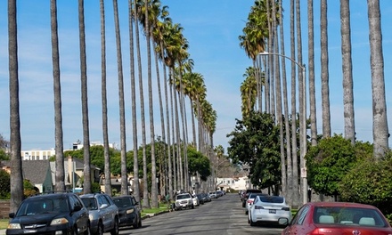 2.5-Hour Guided Black History and Sightseeing Car Tour of South Los Angeles for 1 - A Great Day in South LA