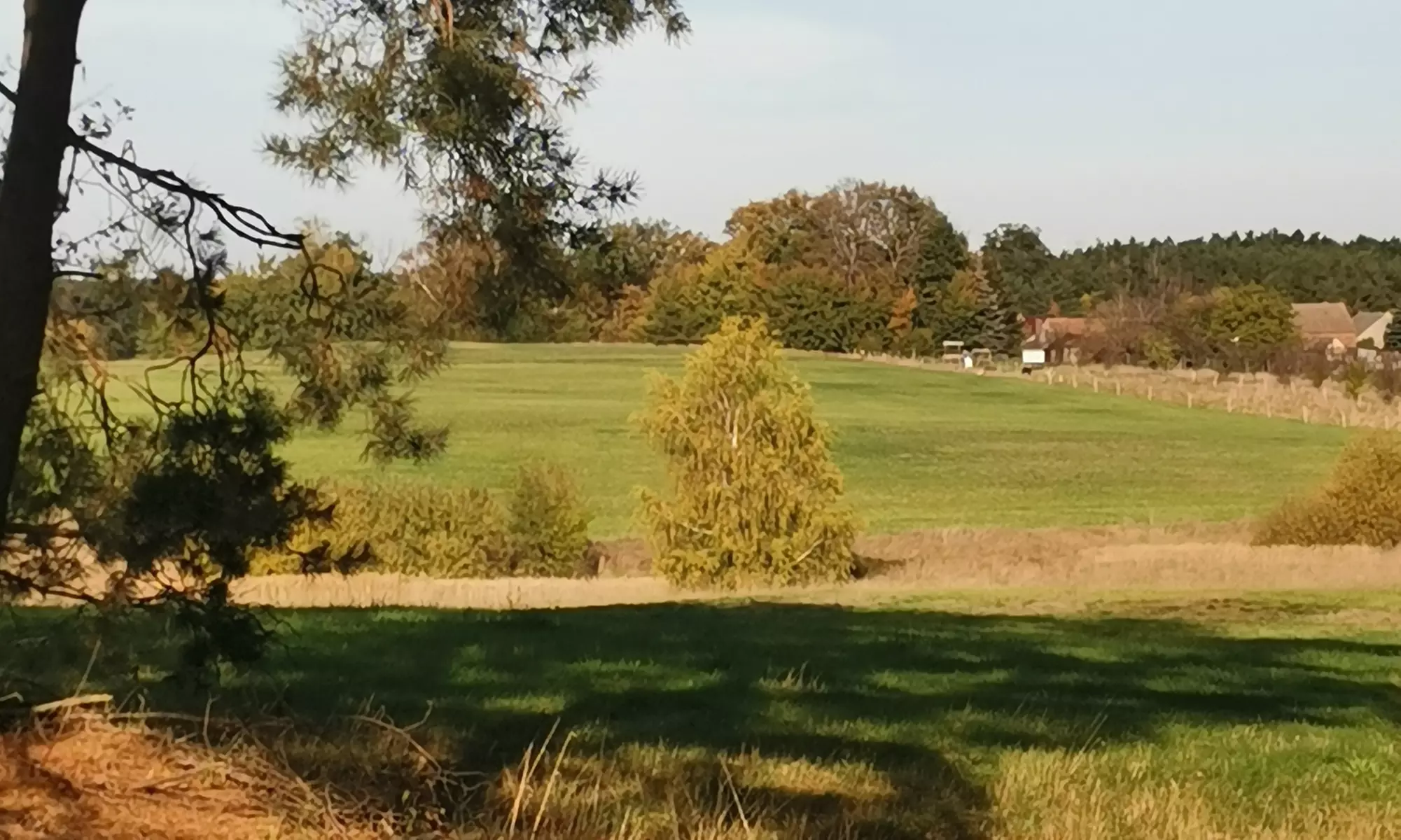 Alpaka- und Lama-Wanderung