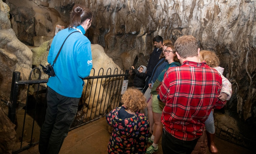 Image 6: Weekend Self-Guided Cavern Walking Tour; Not Valid 29/11 - 04/01/2026