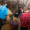 Image 6: Weekend Self-Guided Cavern Walking Tour; Not Valid 29/11 - 04/01/2026