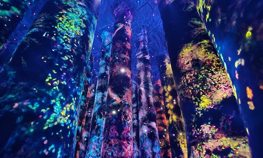 Image 7: Explore TeamLab Phenomena General Admission for Adults and Youths