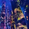 Image 7: Explore TeamLab Phenomena General Admission for Adults and Youths