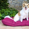 Image 4: Almohada Maxy para perros y gatos