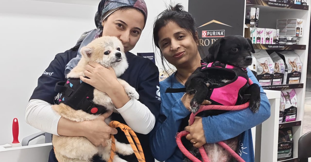 Professional Veterinary Care And Annual Pet Wellness Packages Professional Veterinary Care And Annual Pet Wellness Packages