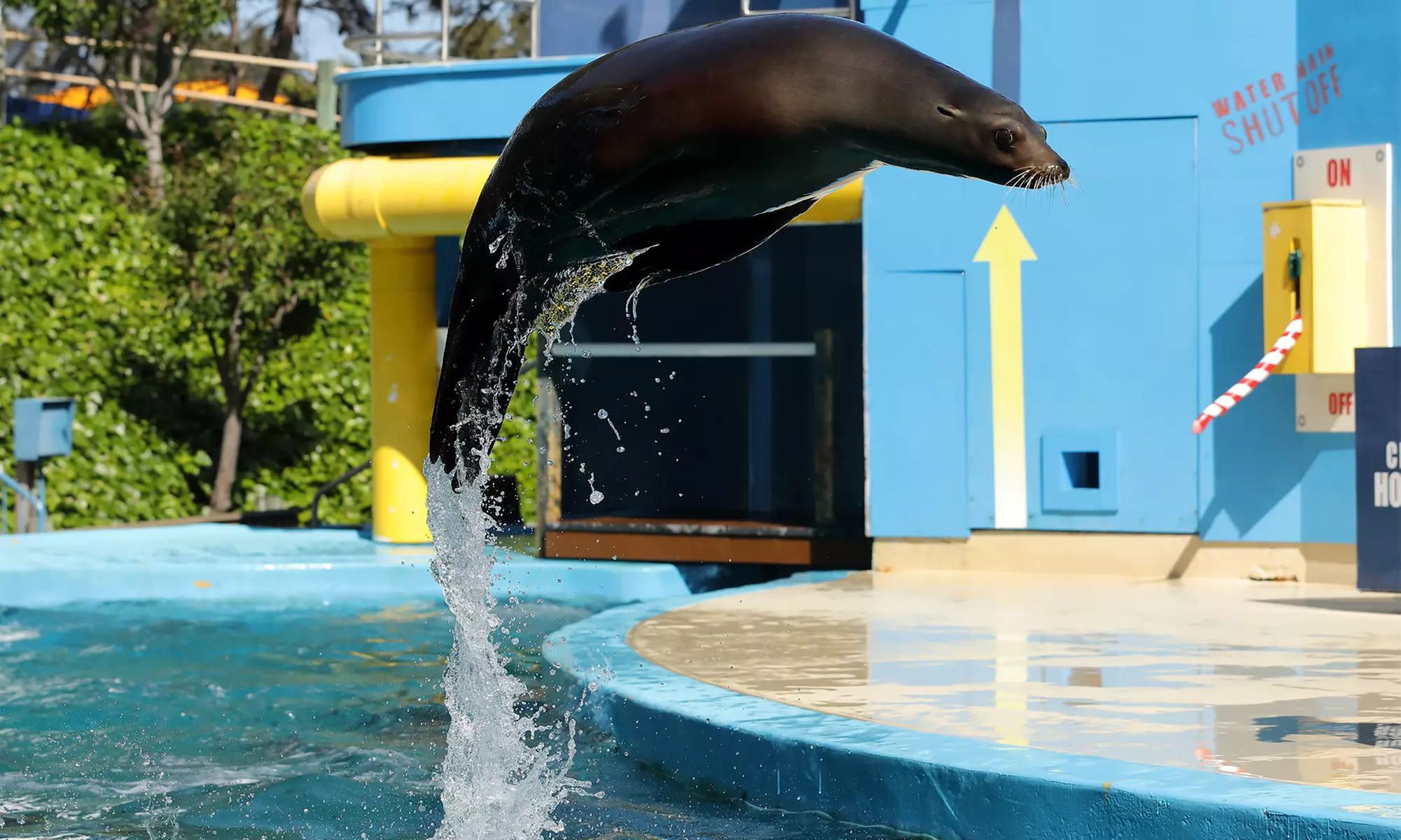LIMITED TIME OFFER: Six Flags Discovery Kingdom - Up to 51% Off