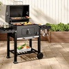 Image 35: Charcoal BBQ Grill with a Trolley in Various Sizes