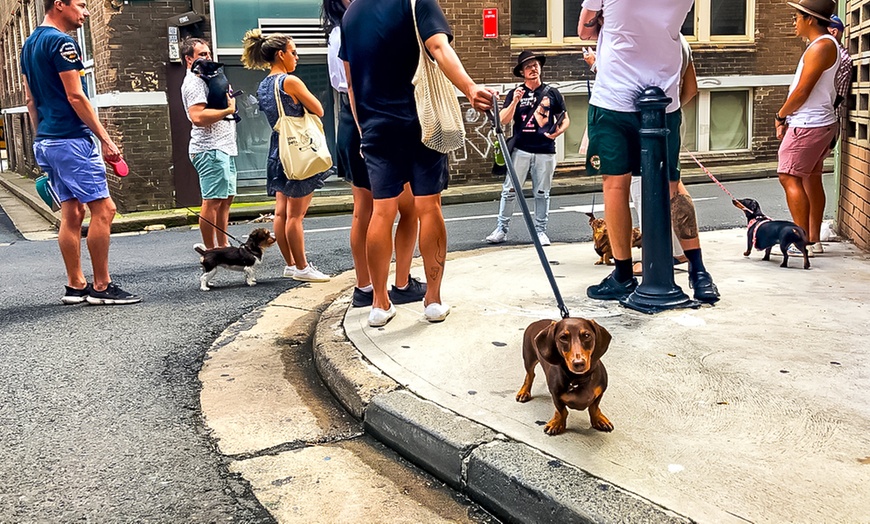 Image 3: Step into Sydney’s Dark Past with a 2 or 3-Hour Surry Hills Crime Tour