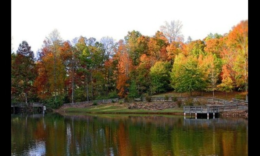 Image 3: Guided Easy Hike, Lunch and Exclusive Wine Tasting Experience