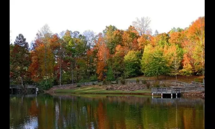 Curated Wine Tasting, Gourmet Picnic & Scenic State Park Escape