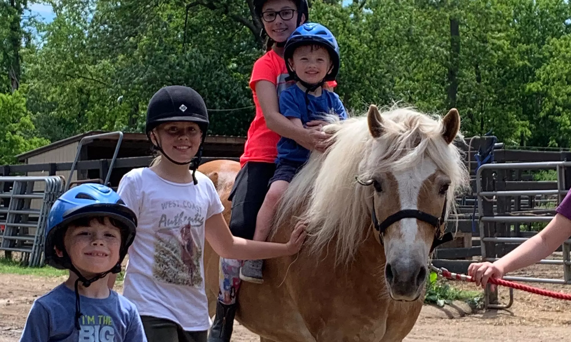 Up to 28% Off on Horse Back Riding at SNS Equine - Second Medium