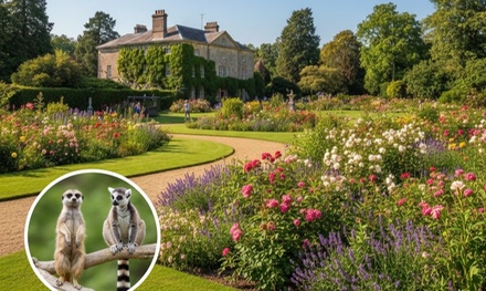 Entrance for One Adult & One Child  - Capel Manor Gardens