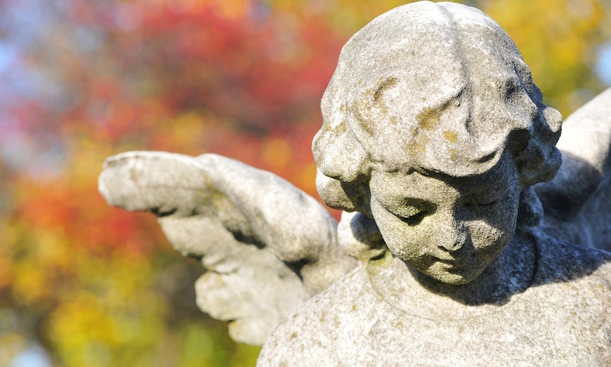 Image 2: Découvrez l'incontournable visite guidée du Père-Lachaise