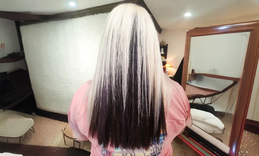Image 1: Women's Design Haircut + All Over Color, Base Color, Balayage and More