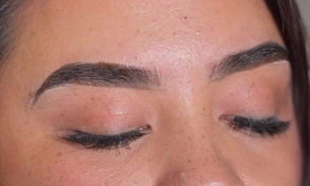 One Eyebrow Wax, Shaping, and Henna Brow Session - Theslaylife