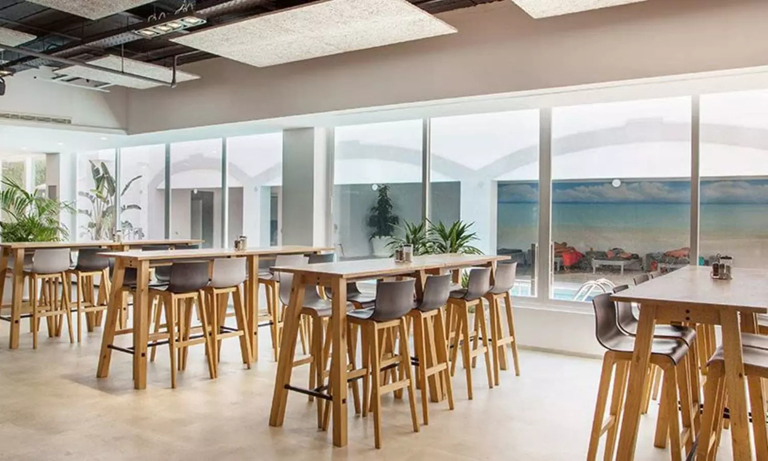 Menú de pizza fast o completo con bebida y opción a postre