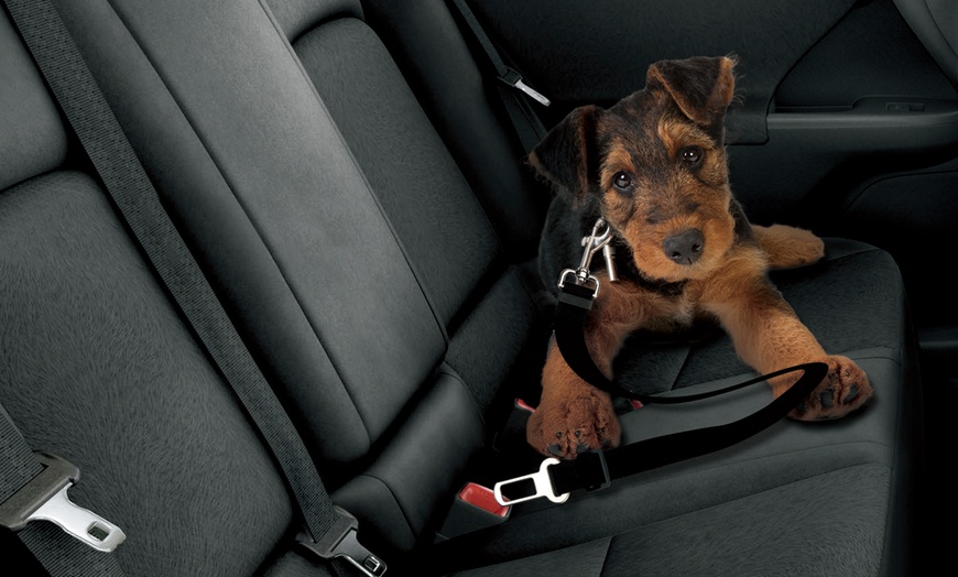 Image 2: Universal Pet Seat Belt Restraint