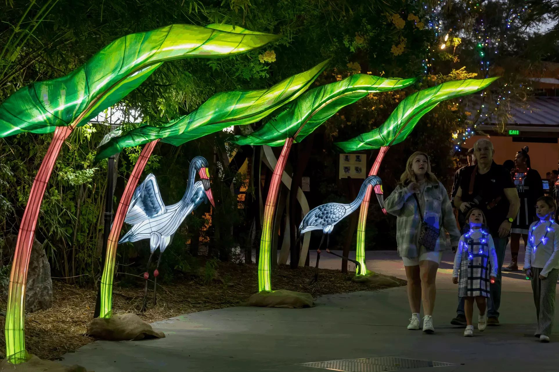 ZooLights Night Time Admission Tickets at Phoenix Zoo