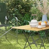 Image 1: Outsunny Folding Camping Chair with Cooler Bag Table