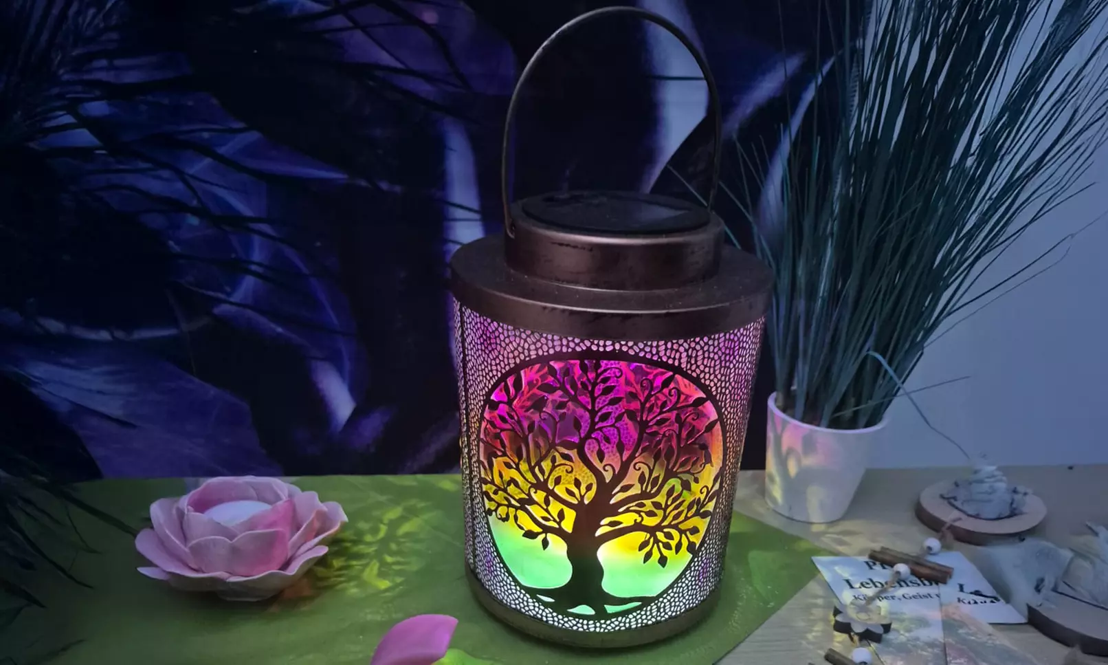 60 oder 90 Min. Massage nach Wahl für 1 Person