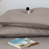 Image 29: Pure Cotton 2 Piece Pillowcase Set