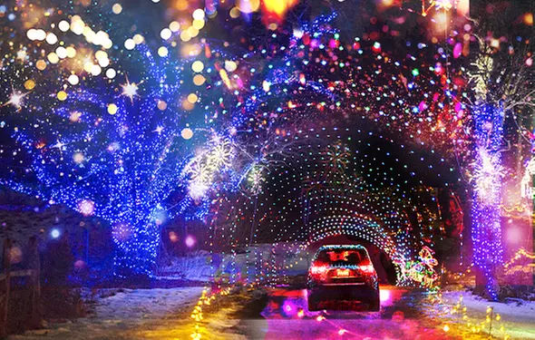 Peace, Love & Lights Holiday Lights from Nov 28 - Dec 28 in Bethel, NY - Primary Image