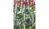 Flower Magazine Subscription for One Year (86% Off)