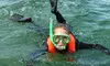 Embark with 2 Hour Casino Point, Night, Power Snorkeling for Two or Four at Diving Catalina (Up to 22%Off)