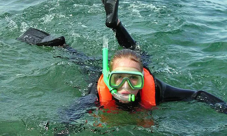 Embark with 2 Hour Casino Point, Night, Power Snorkeling for Two or Four at Diving Catalina (Up to 22%Off) - Primary Image