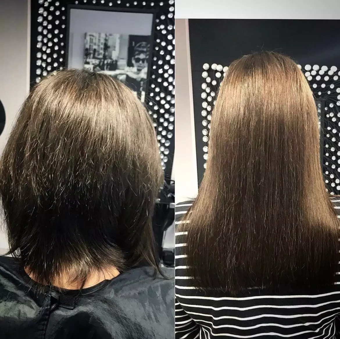 Wash, Cut and Blow-Dry