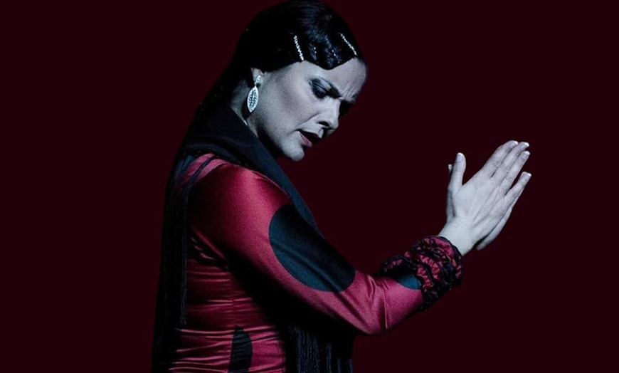 Image 2: Entrada a show de flamenco con opción a sangría y tapa para 1 o 2