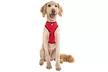 FurHaven Pet Easy Comfort Mesh Dog Harness - Second Medium