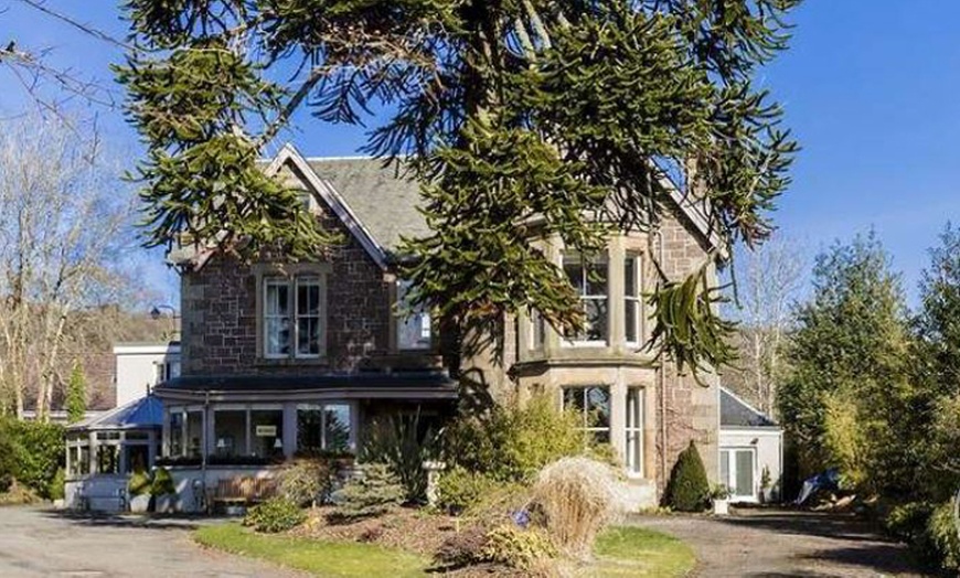 Image 5: Relax & Unwind with 60-Minute Afternoon Tea for 2, 3, or 4 People