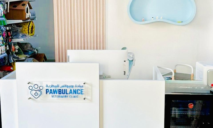 Image 8: Basic or Full Grooming for Small, Medium, Large or XL Size Dogs/Cats