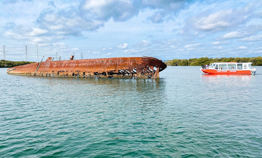 Image 8: 90-Minute Port River Dolphin & Ships Graveyard Cruise