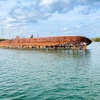 Image 8: 90-Minute Port River Dolphin & Ships Graveyard Cruise
