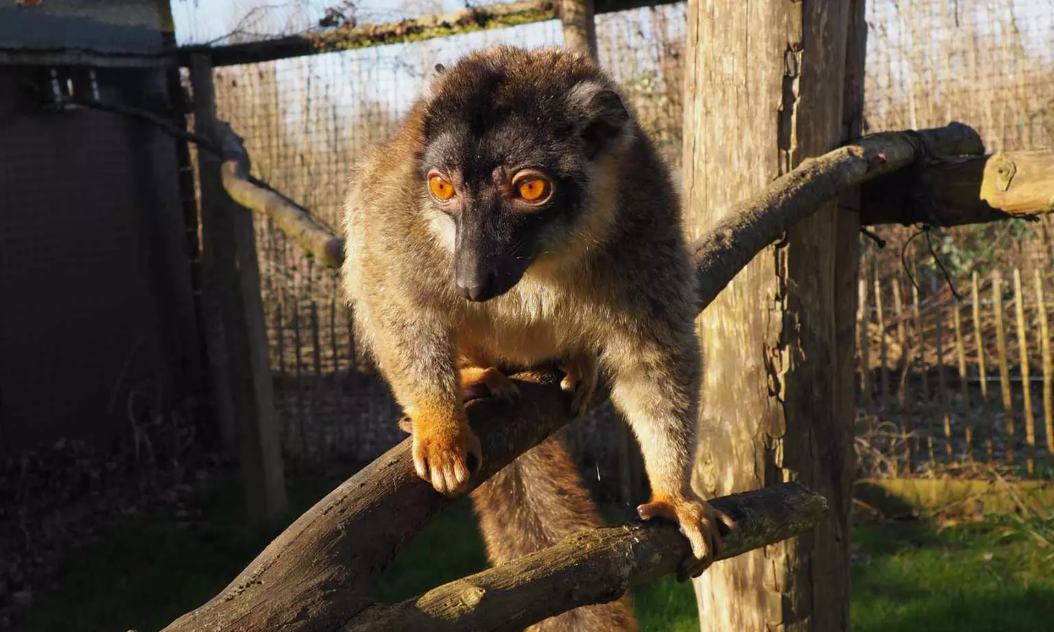 Billet enfant ou adulte pour La Réserve Exotique