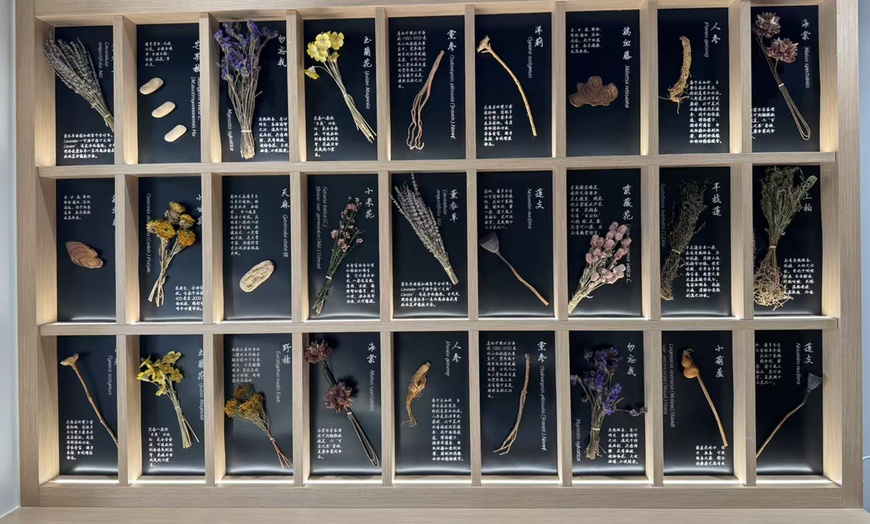 Image 5: 60Min Head Spa: Herbal, Hydroxyl Acid Nourishment or Ginger & Ginseng
