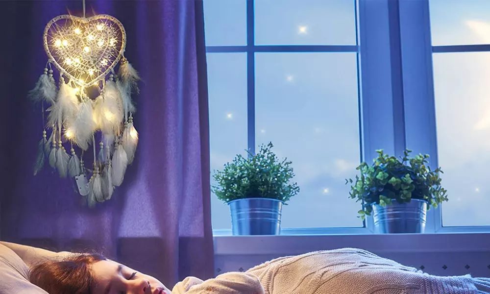 1 of 2 dromenvangers met led-lichtslinger