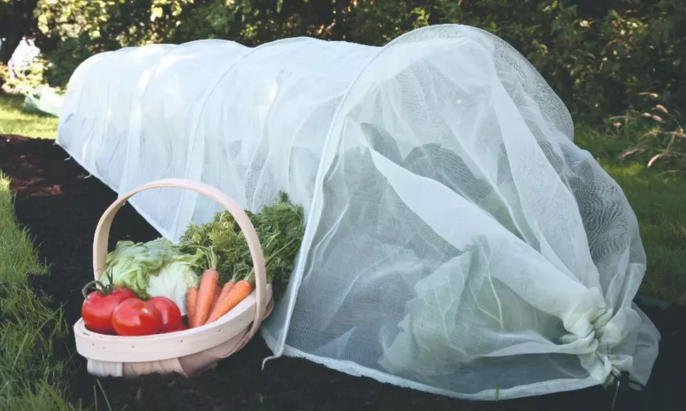Garden Greenhouse Polytunnel Cloche and Protection Structure Range