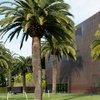 Image 11: Guided Golden Gate Park Walking Tour w/ California Academy of Sciences