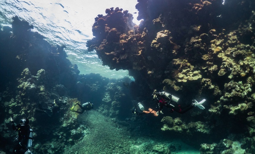 Image 14: Bautizo de buceo o excursión snorkel con fotos 