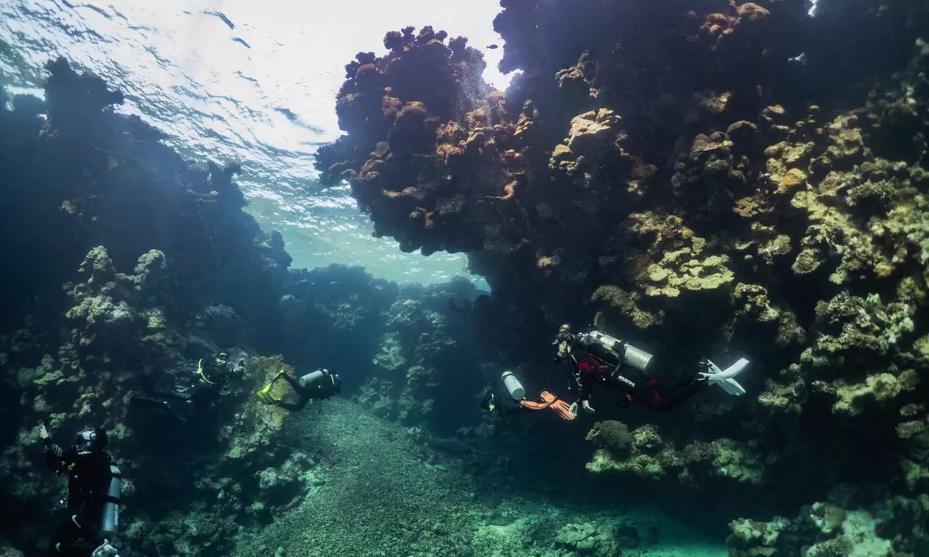 Bautizo de buceo o excursión snorkel con fotos