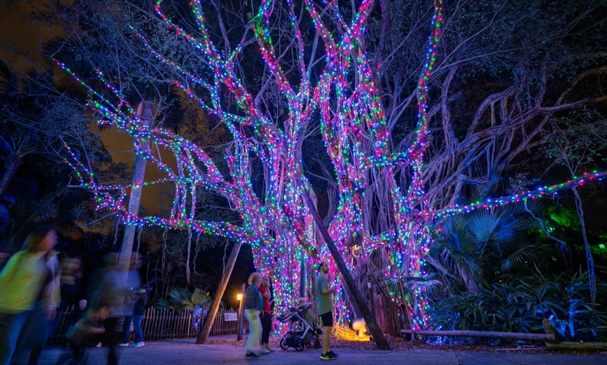 Image 2: Zoo Lights: A Dazzling Holiday Experience 
