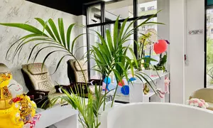 Wycisz ciało, obudź zmysły: rytuały Head Spa inspirowane filozofią Zen