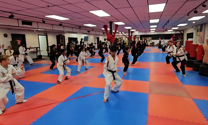 Image 5: 1 or 2 Months of Korean Martial Arts with Uniform Options