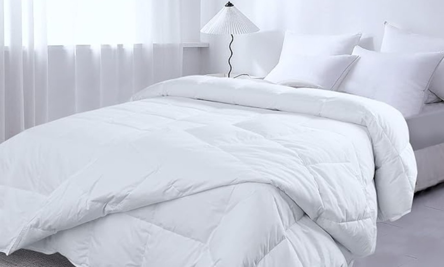 Image 1: Echtfeder-Bettdecke
