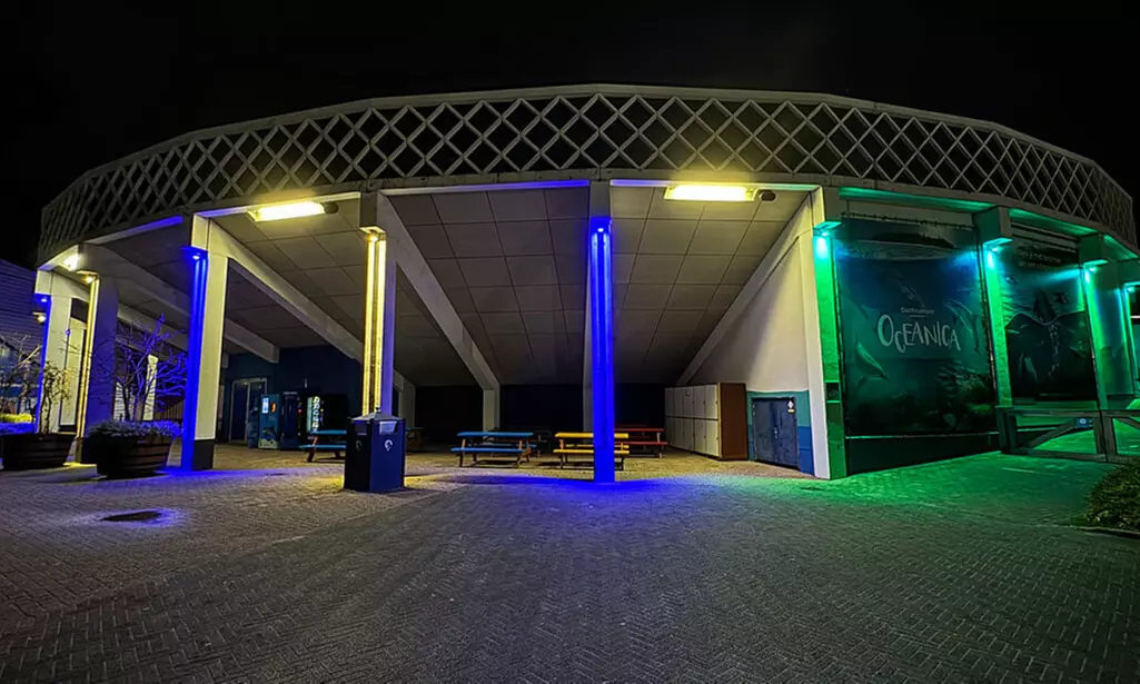 Einrittskarte "Dolfinarium" in Harderwijk, Niederlande für 1 Person