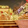 Image 4: 13% Off Dyker Heights Christmas Lights Bus Tour